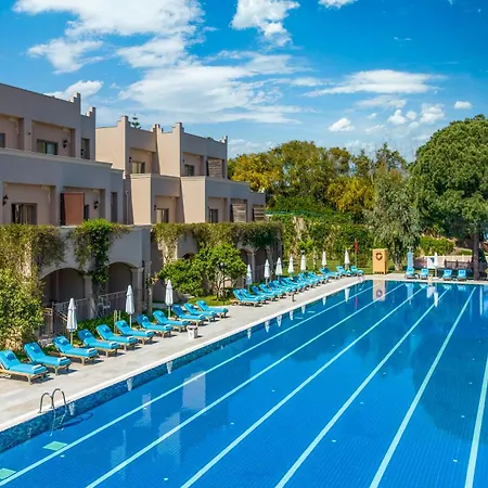 Spice & Belek